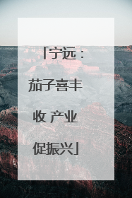 宁远：茄子喜丰收 产业促振兴