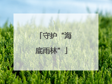 守护“海底雨林”