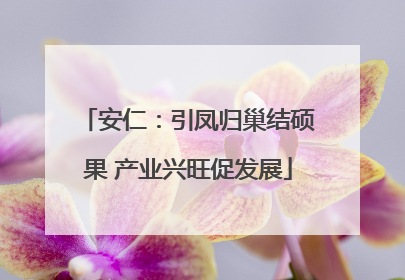 安仁：引凤归巢结硕果 产业兴旺促发展