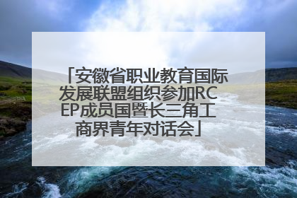 安徽省职业教育国际发展联盟组织参加RCEP成员国暨长三角工商界青年对话会