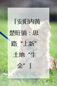 安阳内黄楚旺镇：思路“上新” 土地“生金”