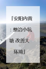 安阳内黄：整治小坑塘 改善大环境