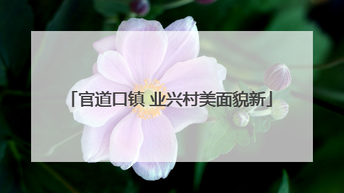 官道口镇 业兴村美面貌新