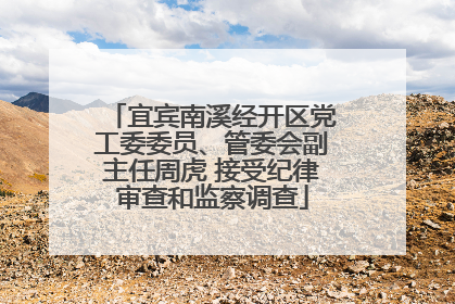 宜宾南溪经开区党工委委员、管委会副主任周虎 接受纪律审查和监察调查