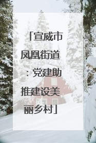 宣威市凤凰街道：党建助推建设美丽乡村