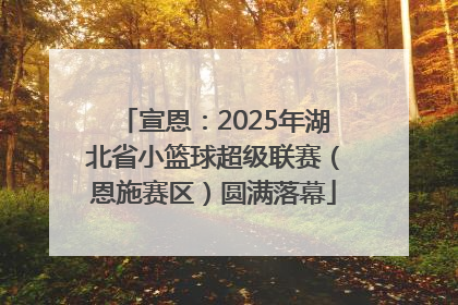 宣恩：2025年湖北省小篮球超级联赛（恩施赛区）圆满落幕