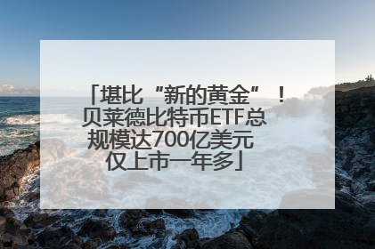堪比“新的黄金”！贝莱德比特币ETF总规模达700亿美元 仅上市一年多