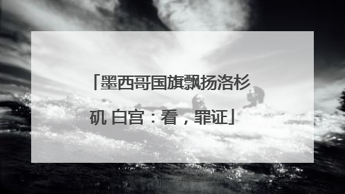 墨西哥国旗飘扬洛杉矶 白宫：看，罪证
