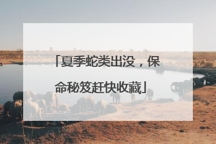 夏季蛇类出没，保命秘笈赶快收藏