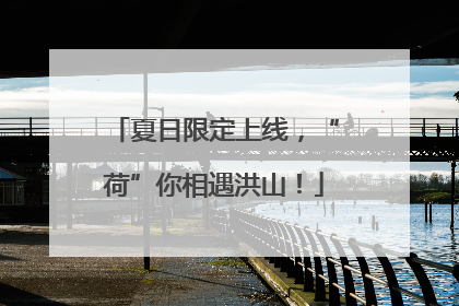 夏日限定上线，“荷”你相遇洪山！
