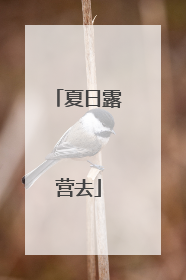 夏日露营去