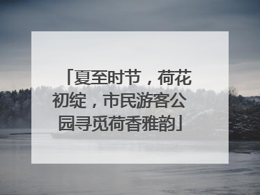 夏至时节，荷花初绽，市民游客公园寻觅荷香雅韵
