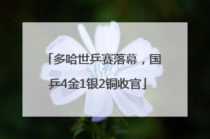 多哈世乒赛落幕，国乒4金1银2铜收官