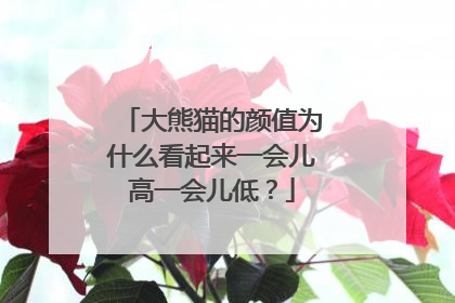 大熊猫的颜值为什么看起来一会儿高一会儿低？