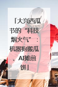 大兴西瓜节的“科技烟火气”：机器狗搬瓜、AI摊煎饼