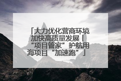 大力优化营商环境 加快高质量发展丨“项目管家”护航用海项目“加速跑”