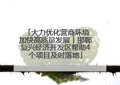 大力优化营商环境 加快高质量发展丨邯郸复兴经济开发区帮助4个项目及时落地