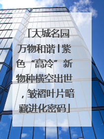大城名园 万物和谐│紫色“高冷”新物种横空出世，皱褶叶片暗藏进化密码