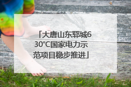 大唐山东郓城630℃国家电力示范项目稳步推进