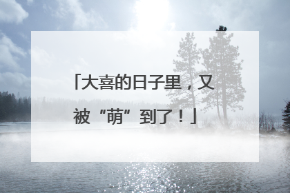 大喜的日子里，又被“萌”到了！