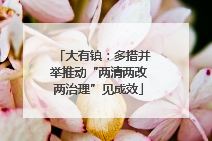 大有镇：多措并举推动“两清两改两治理”见成效