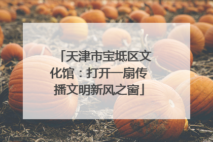 天津市宝坻区文化馆：打开一扇传播文明新风之窗