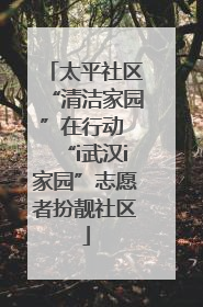 太平社区“清洁家园”在行动 “i武汉i家园”志愿者扮靓社区