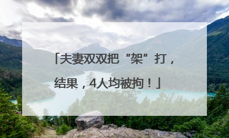 夫妻双双把“架”打，结果，4人均被拘！