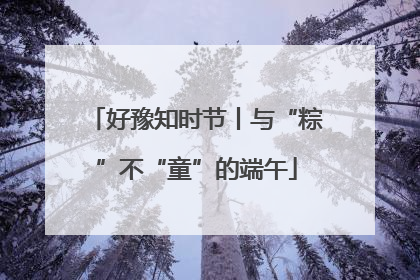 好豫知时节丨与“粽”不“童”的端午