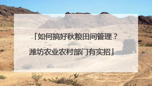 如何搞好秋粮田间管理？潍坊农业农村部门有实招