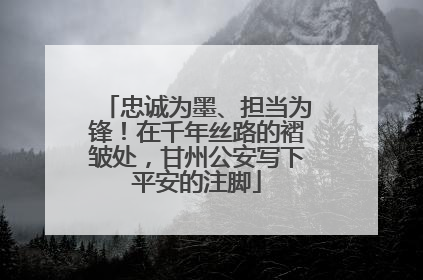 忠诚为墨、担当为锋！在千年丝路的褶皱处，甘州公安写下平安的注脚