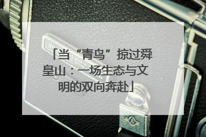 当“青鸟”掠过舜皇山：一场生态与文明的双向奔赴