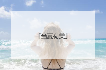 当夏荷美