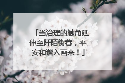 当治理的触角延伸至阡陌街巷，平安和谐入画来！