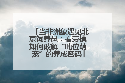 当非洲象遇见北京饲养员：看劳模如何破解“吨位萌宠”的养成密码