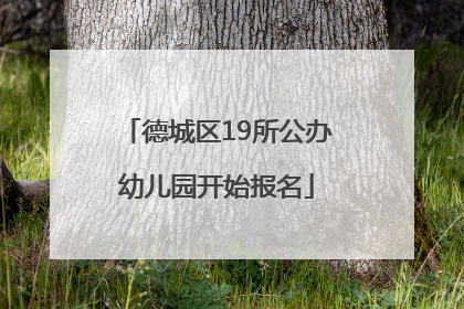 德城区19所公办幼儿园开始报名