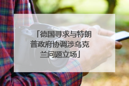 德国寻求与特朗普政府协调涉乌克兰问题立场