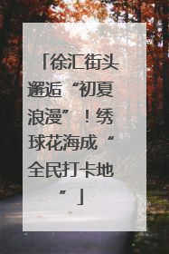 徐汇街头邂逅“初夏浪漫”！绣球花海成“全民打卡地”