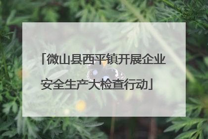微山县西平镇开展企业安全生产大检查行动