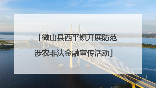 微山县西平镇开展防范涉农非法金融宣传活动