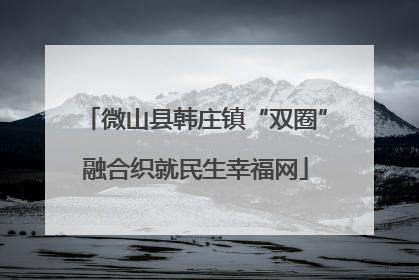 微山县韩庄镇“双圈”融合织就民生幸福网