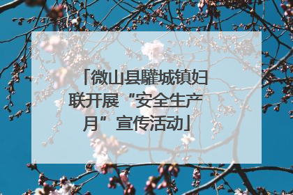 微山县驩城镇妇联开展“安全生产月”宣传活动