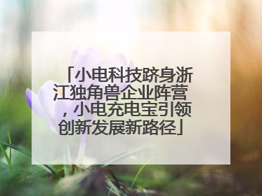 小电科技跻身浙江独角兽企业阵营，小电充电宝引领创新发展新路径