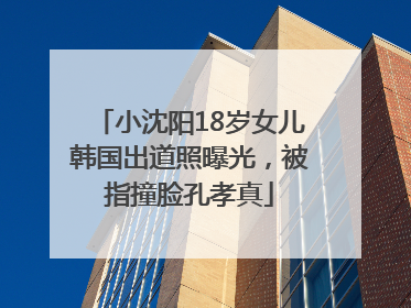 小沈阳18岁女儿韩国出道照曝光，被指撞脸孔孝真