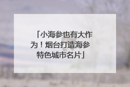 小海参也有大作为！烟台打造海参特色城市名片