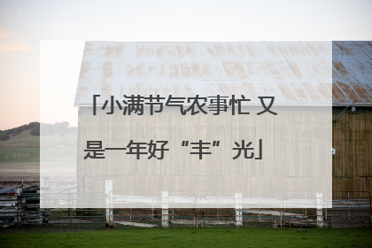 小满节气农事忙 又是一年好“丰”光