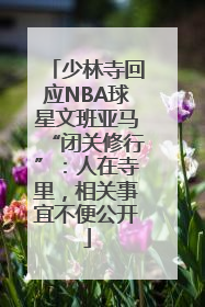 少林寺回应NBA球星文班亚马“闭关修行”：人在寺里，相关事宜不便公开