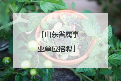 山东省属事业单位招聘