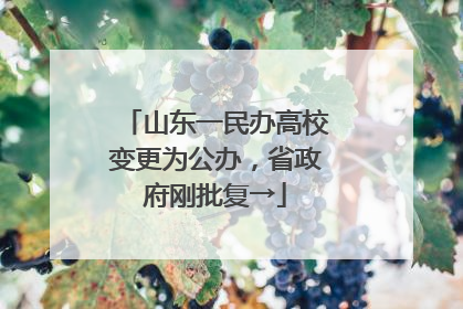山东一民办高校变更为公办，省政府刚批复→