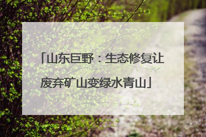 山东巨野：生态修复让废弃矿山变绿水青山